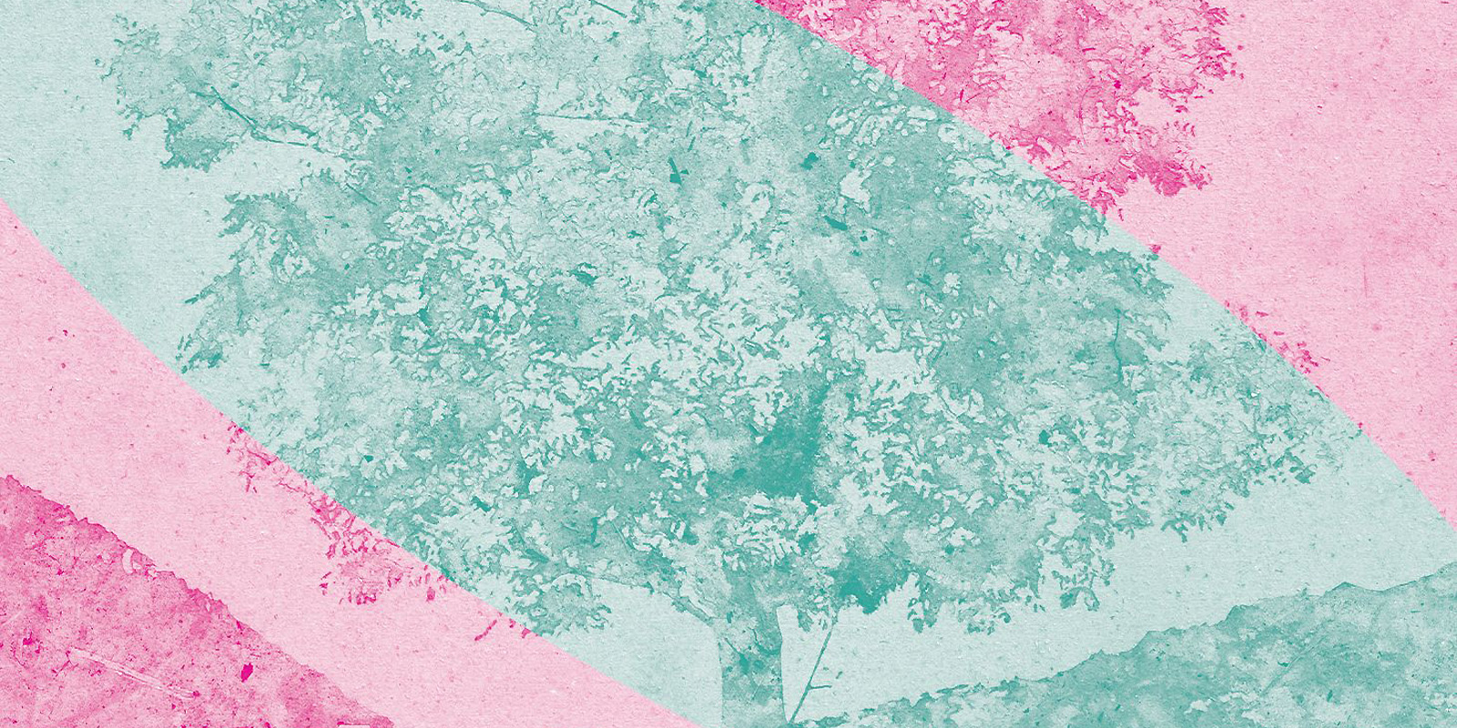 Retrouvez l'exposition "STRATES" à la BU Joseph-Fourier !